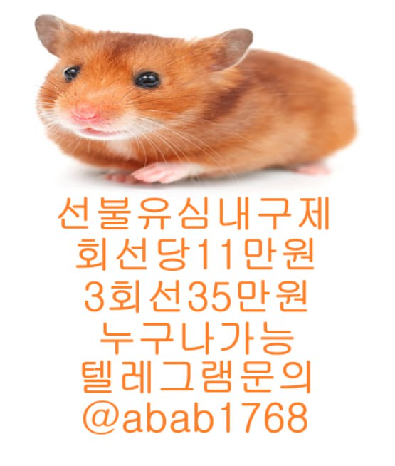 선불유심내구제 유심내구제 내구제 상조내구제 가전내구제 급전 소액결제 소액대출 소액급전 비대면대출 비대면급전 고액알바 (73).jpg